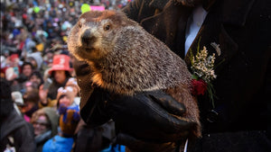 Groundhog Day Spring Prediction Sale