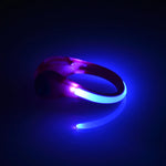 Lighted Shoe Tag