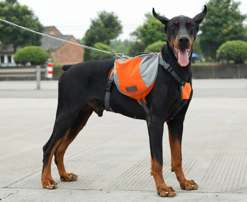 Trail Ready Dog Backpack