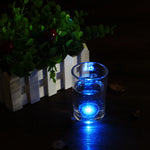 Lighted Shoe Tag
