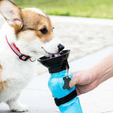 Dog Water Bottle